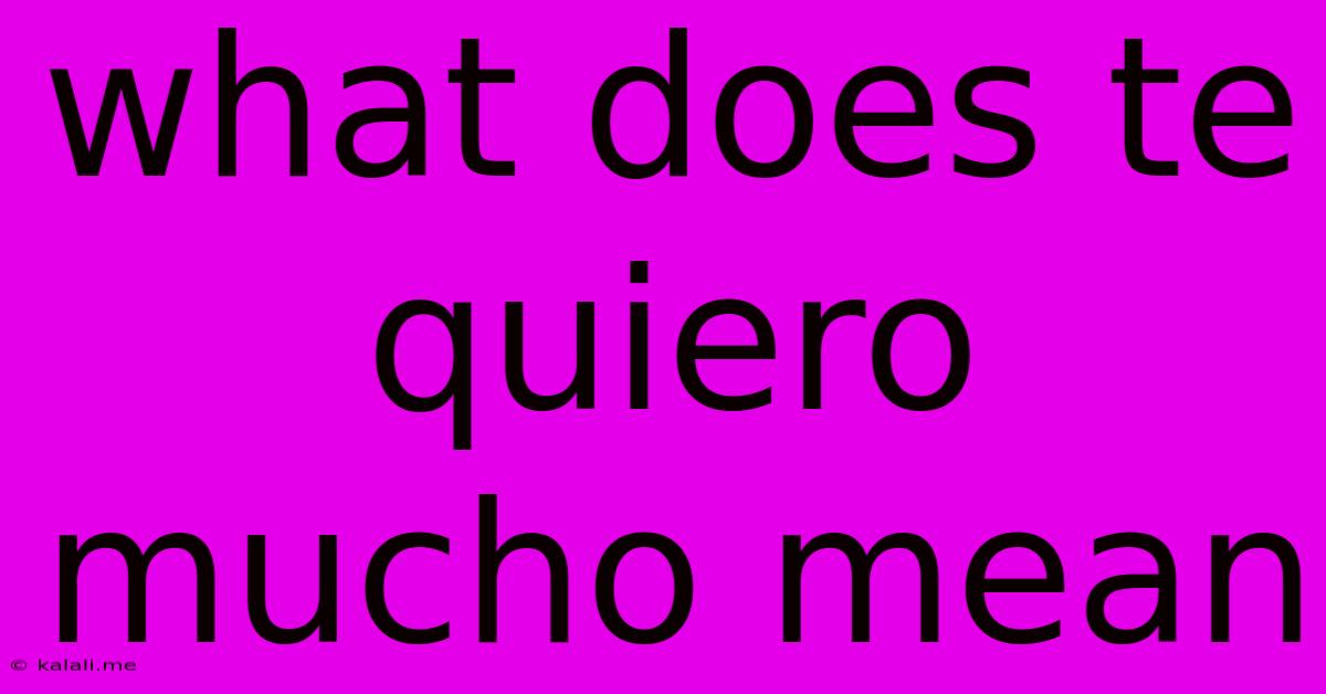 What Does Te Quiero Mucho Mean