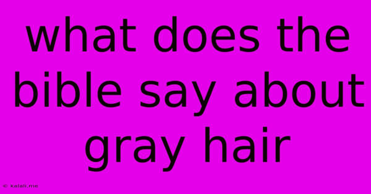 What Does The Bible Say About Gray Hair