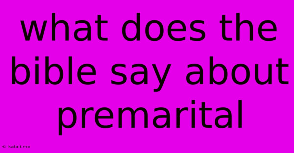 What Does The Bible Say About Premarital