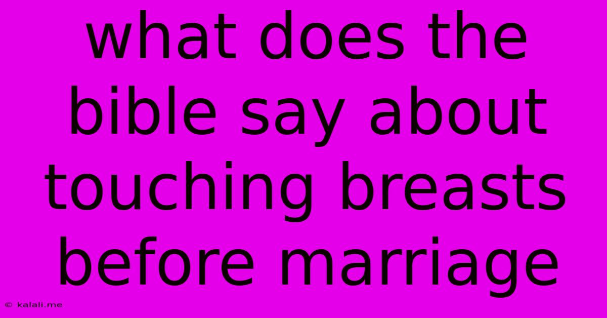 What Does The Bible Say About Touching Breasts Before Marriage