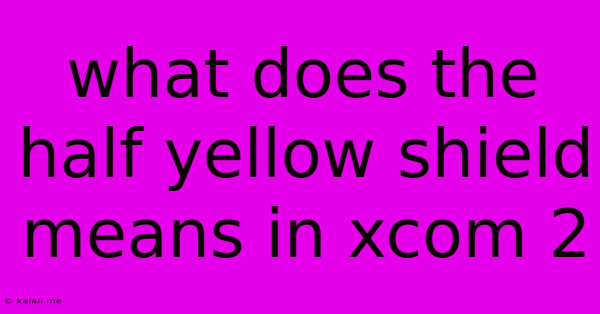 What Does The Half Yellow Shield Means In Xcom 2