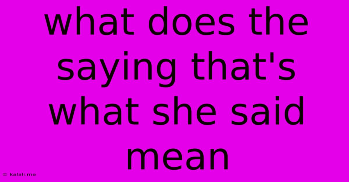 What Does The Saying That's What She Said Mean