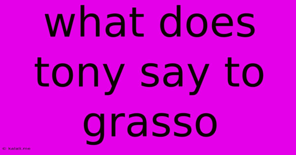 What Does Tony Say To Grasso