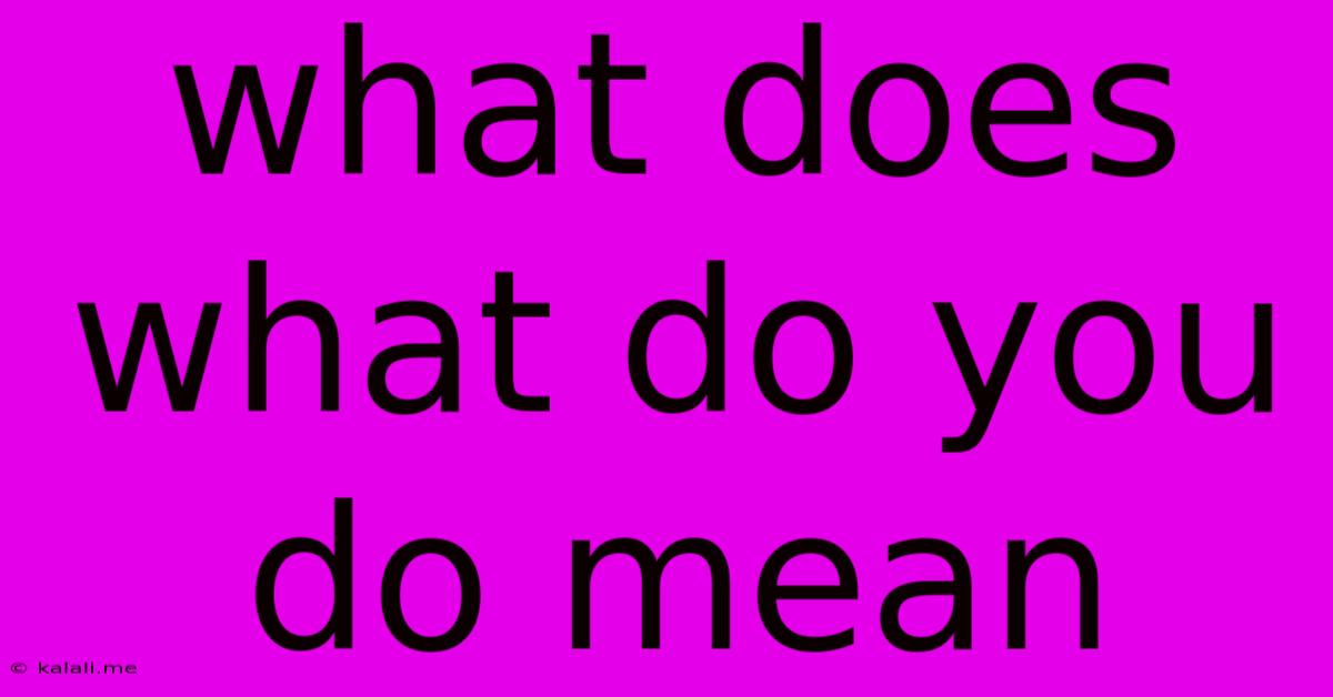 What Does What Do You Do Mean