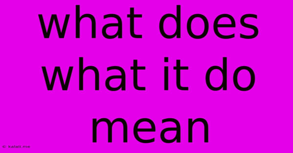 What Does What It Do Mean
