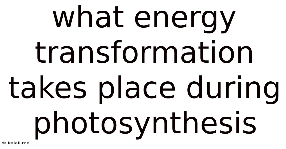 What Energy Transformation Takes Place During Photosynthesis