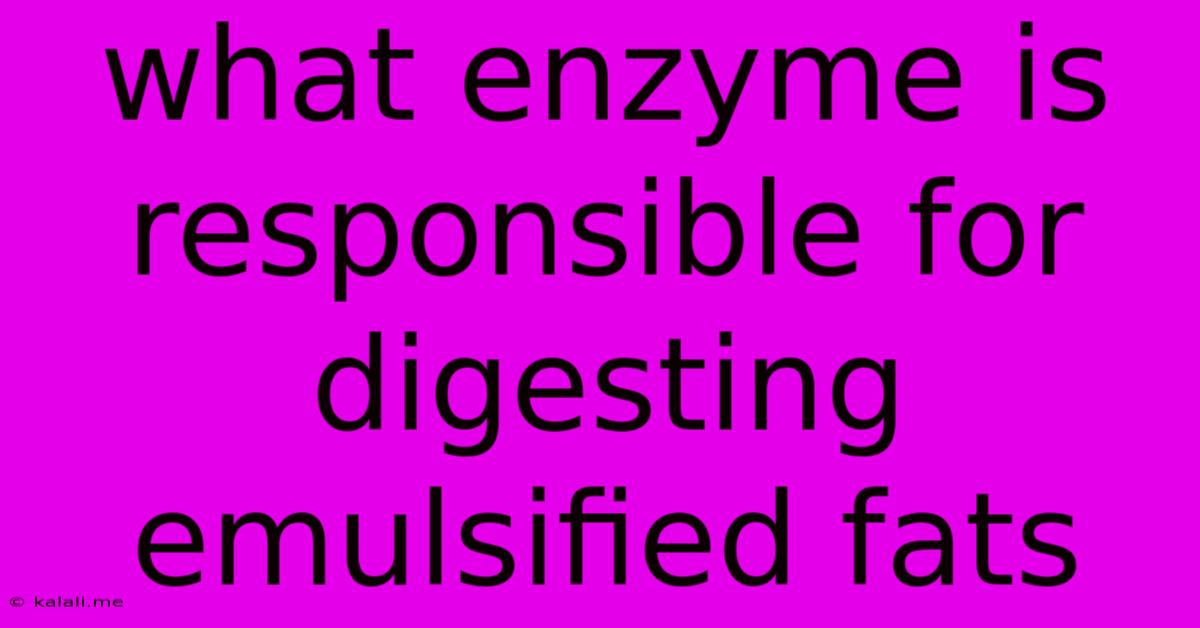 What Enzyme Is Responsible For Digesting Emulsified Fats