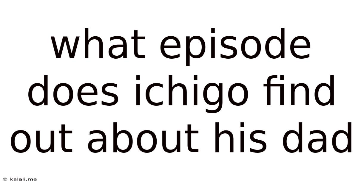What Episode Does Ichigo Find Out About His Dad
