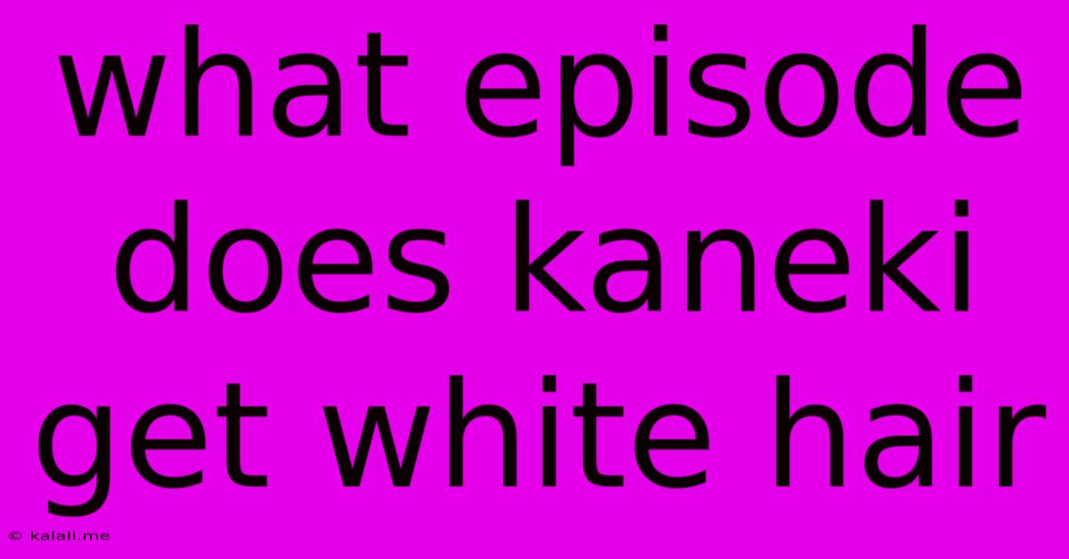What Episode Does Kaneki Get White Hair