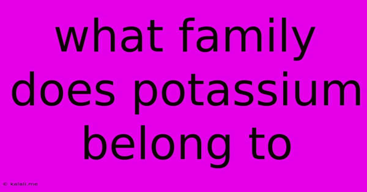 What Family Does Potassium Belong To