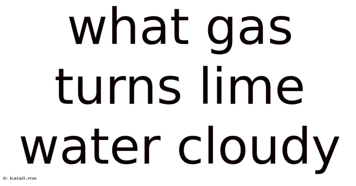 What Gas Turns Lime Water Cloudy