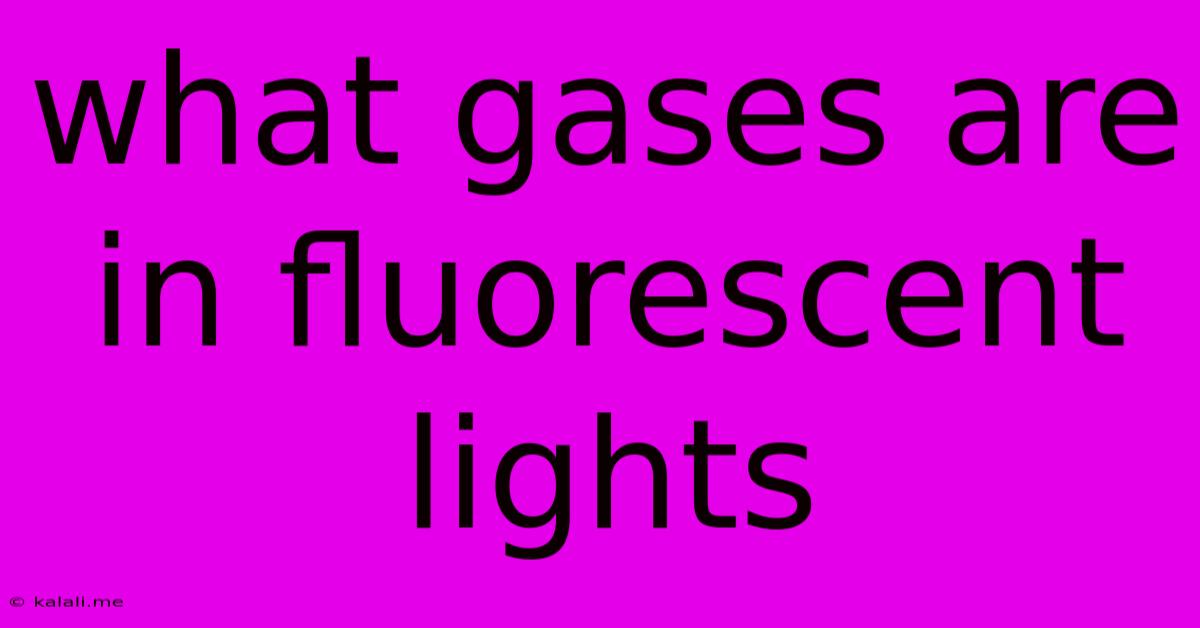What Gases Are In Fluorescent Lights