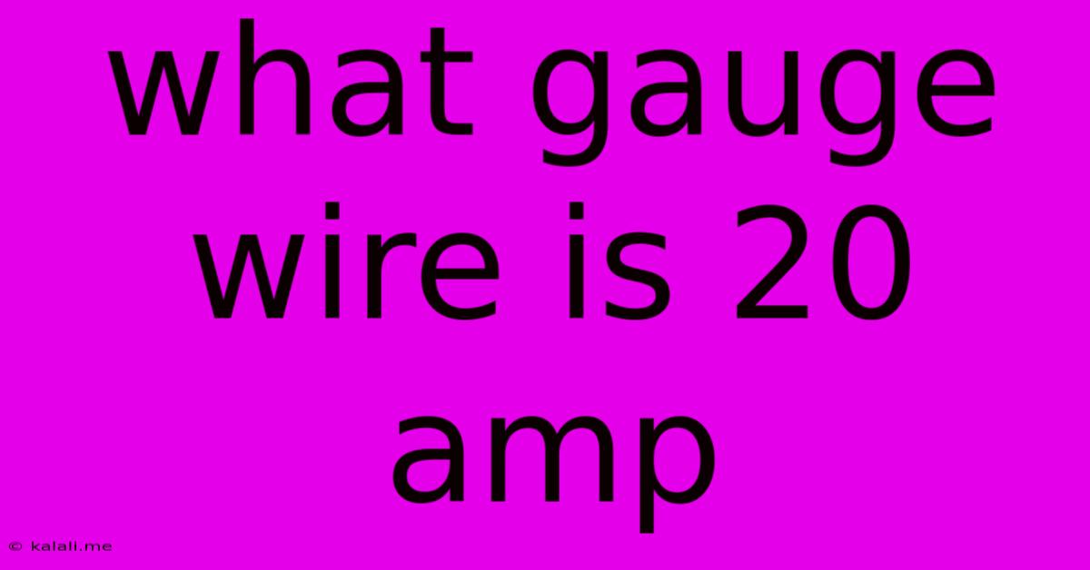 What Gauge Wire Is 20 Amp