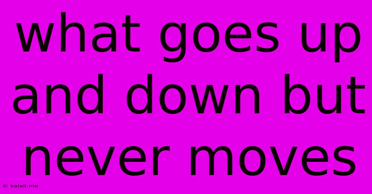 What Goes Up And Down But Never Moves