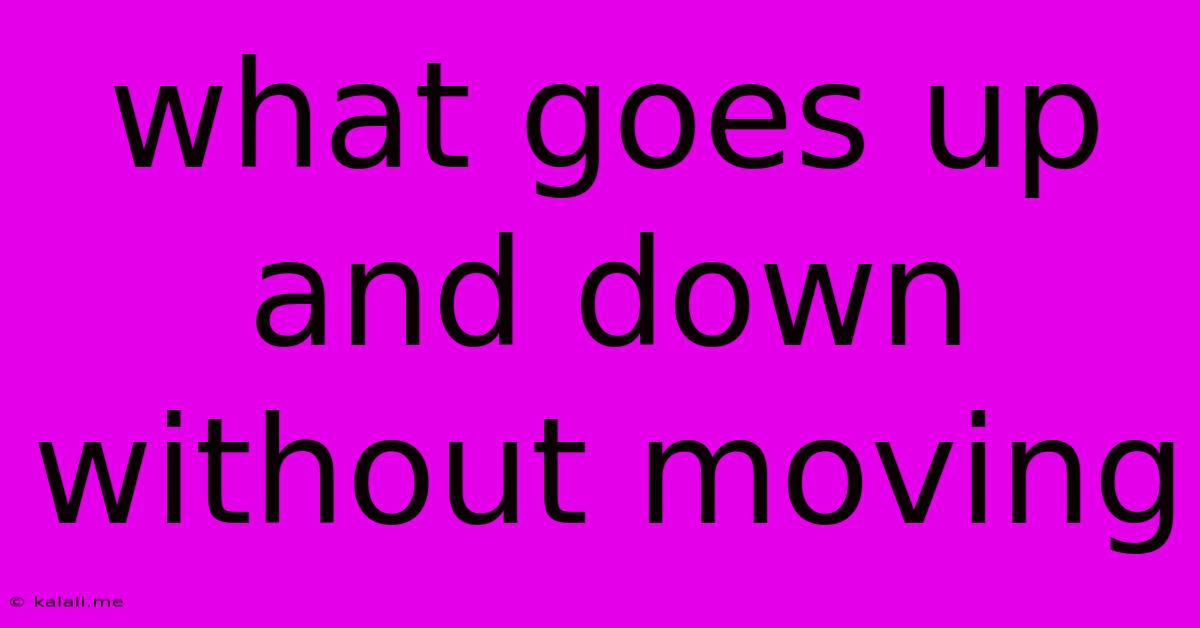 What Goes Up And Down Without Moving