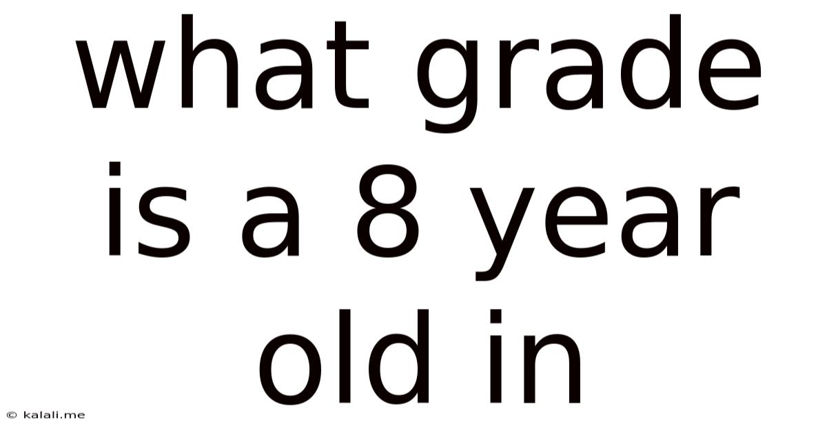 What Grade Is A 8 Year Old In