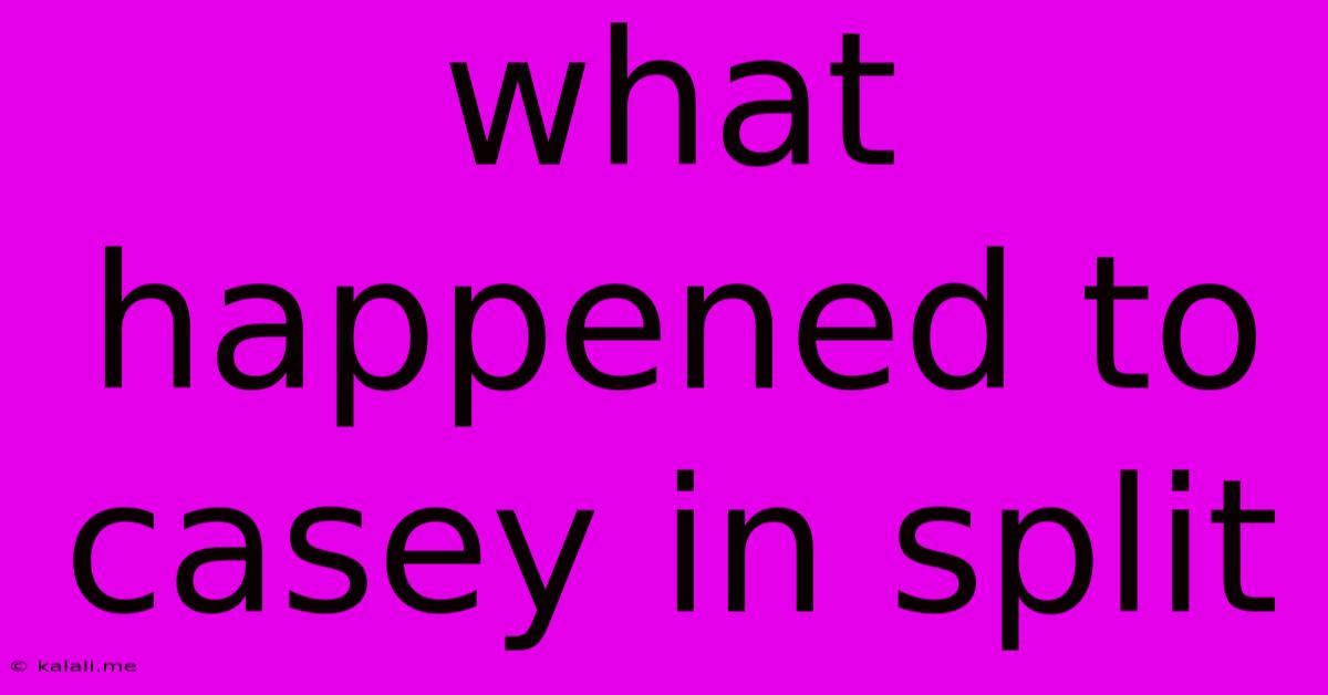 What Happened To Casey In Split