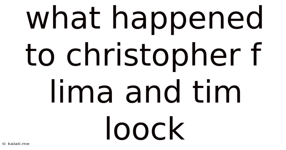 What Happened To Christopher F Lima And Tim Loock