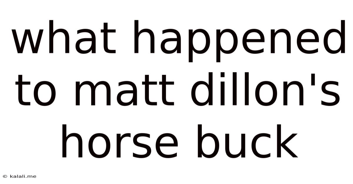 What Happened To Matt Dillon's Horse Buck