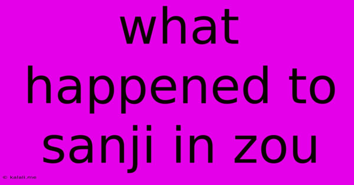 What Happened To Sanji In Zou