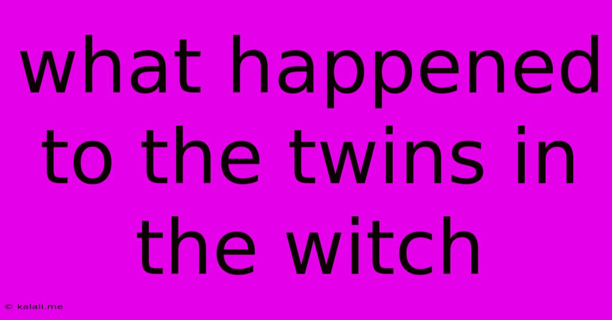 What Happened To The Twins In The Witch