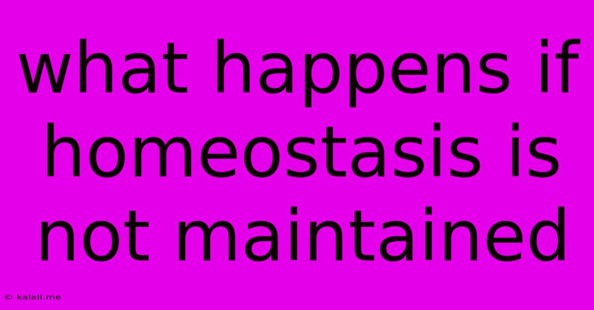 What Happens If Homeostasis Is Not Maintained
