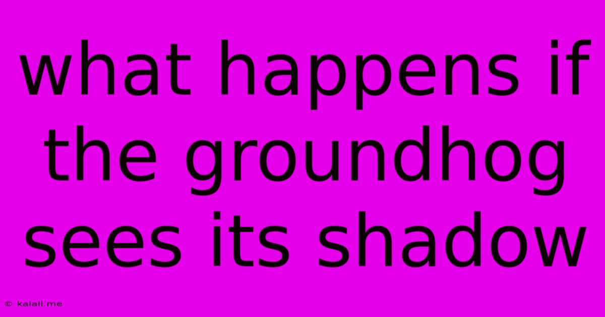 What Happens If The Groundhog Sees Its Shadow