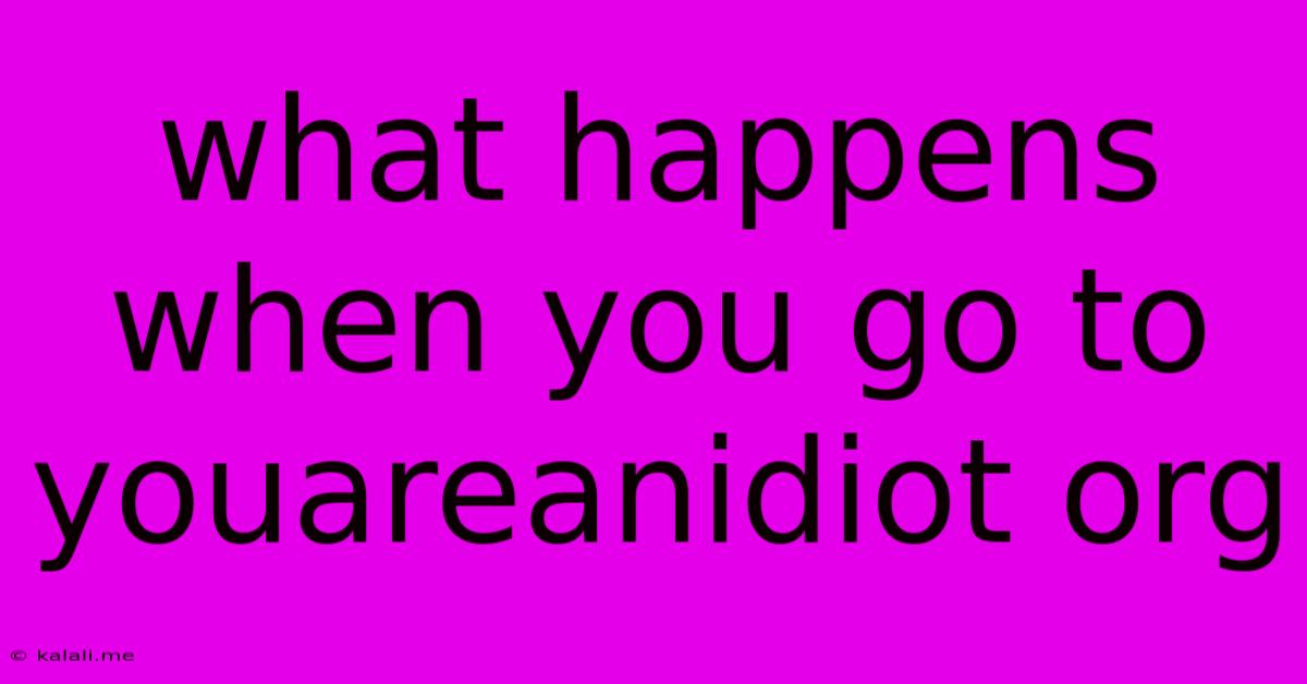 What Happens When You Go To Youareanidiot Org
