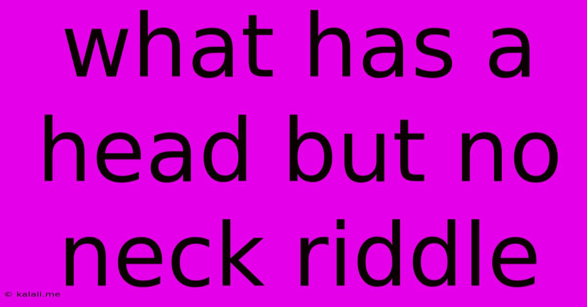 What Has A Head But No Neck Riddle