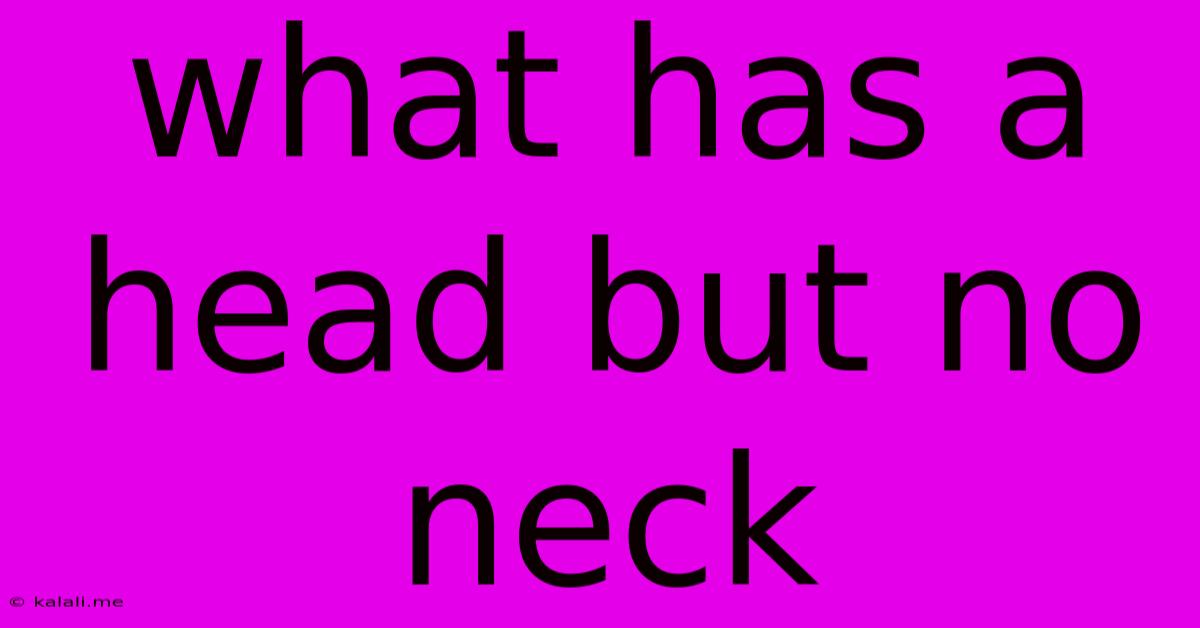What Has A Head But No Neck