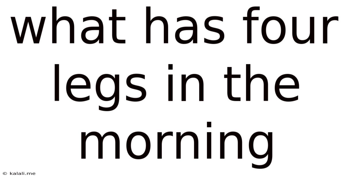 What Has Four Legs In The Morning