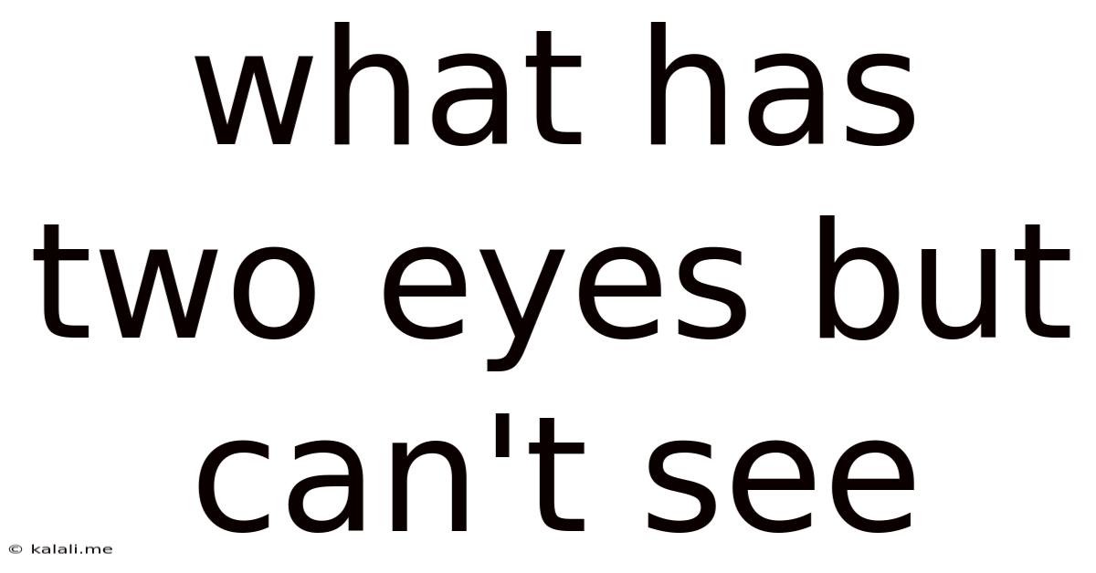 What Has Two Eyes But Can't See