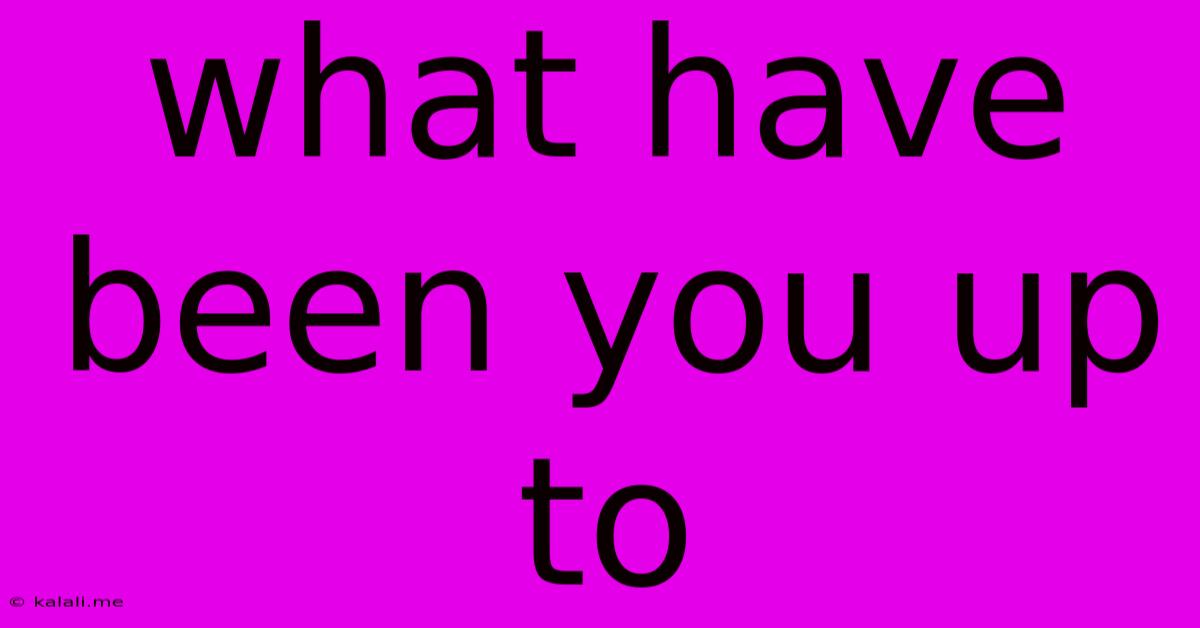 What Have Been You Up To