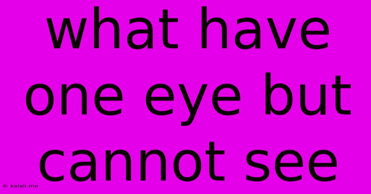 What Have One Eye But Cannot See