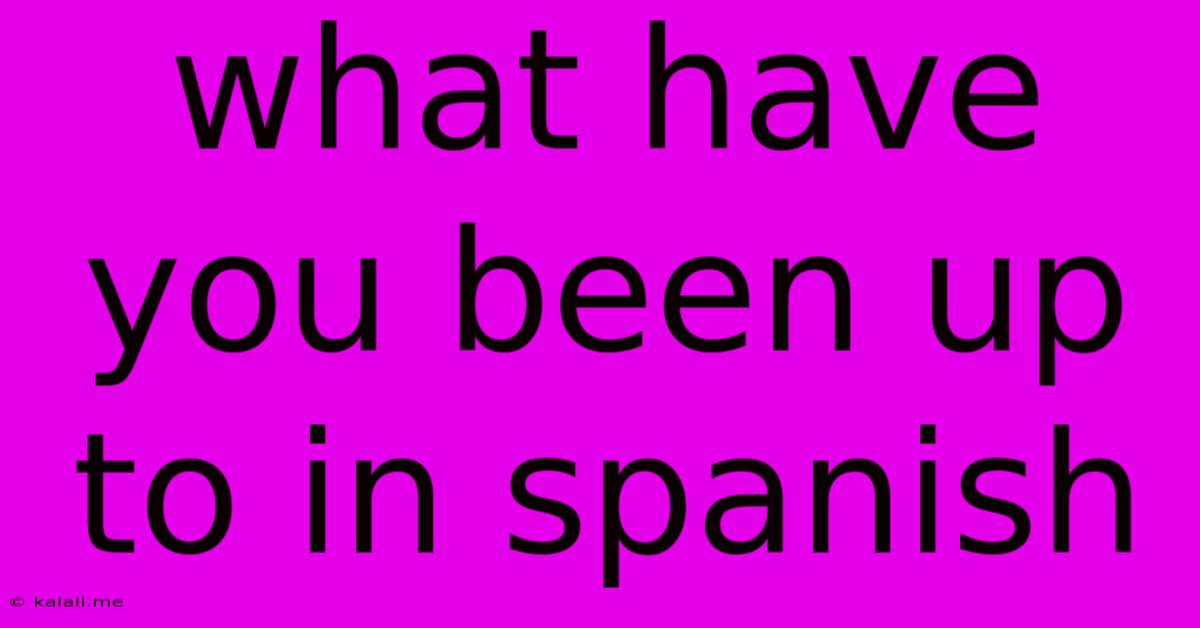 What Have You Been Up To In Spanish