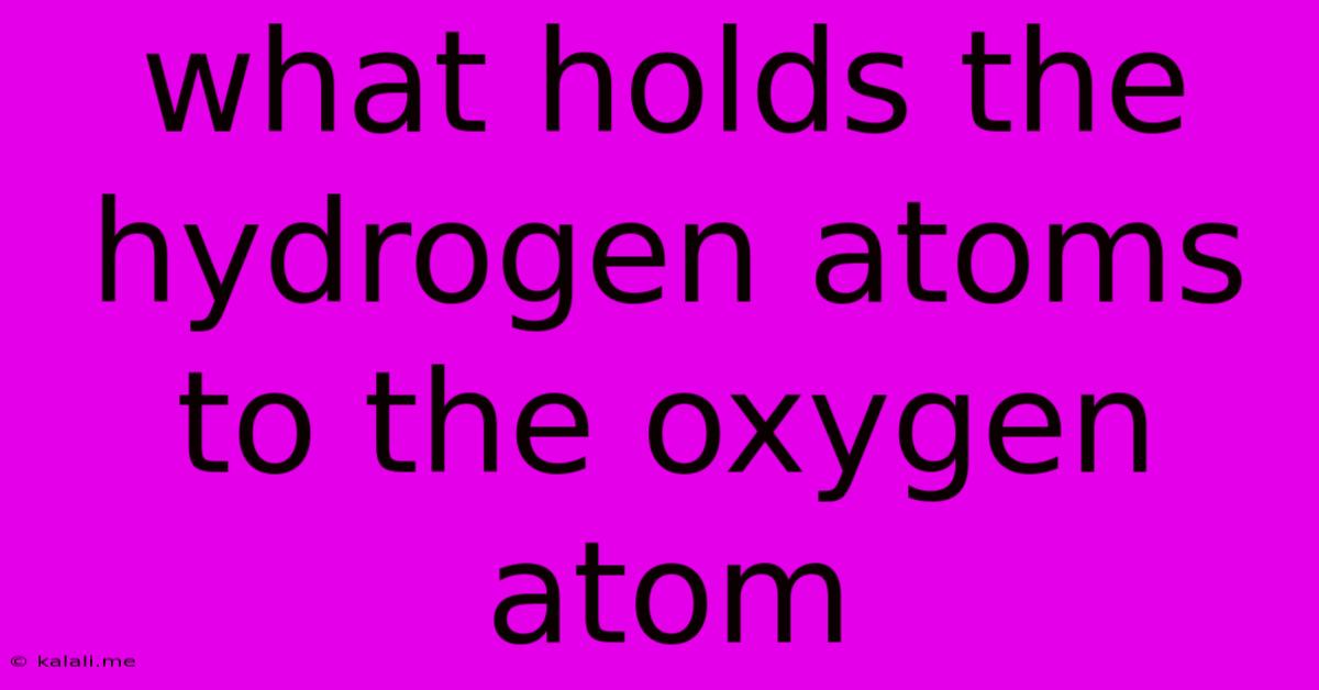 What Holds The Hydrogen Atoms To The Oxygen Atom
