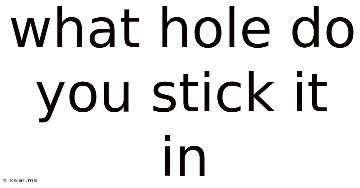 What Hole Do You Stick It In