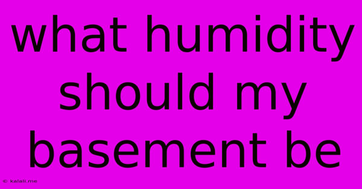 What Humidity Should My Basement Be
