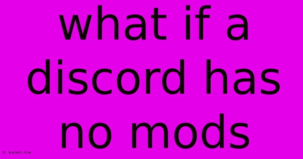 What If A Discord Has No Mods