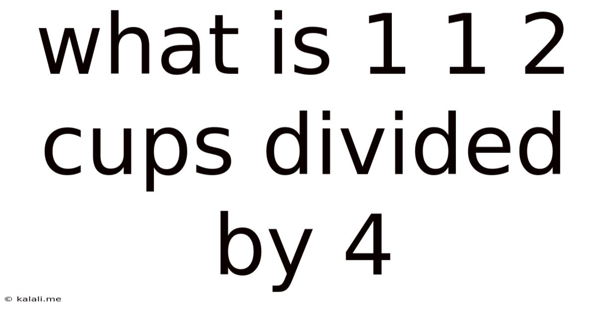 What Is 1 1 2 Cups Divided By 4