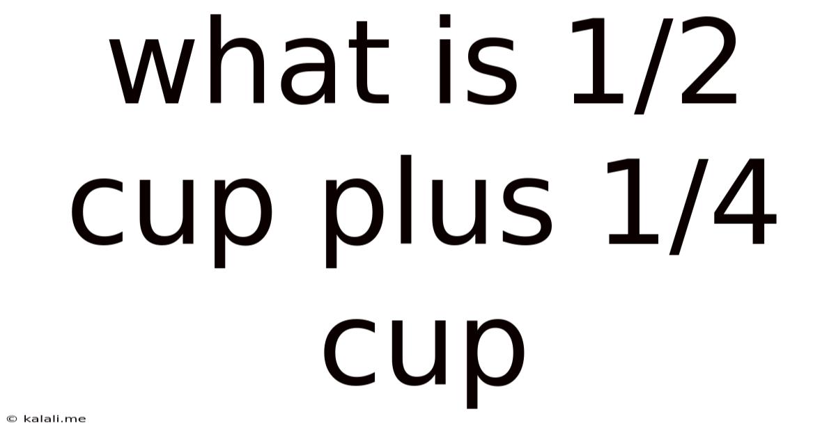 What Is 1/2 Cup Plus 1/4 Cup