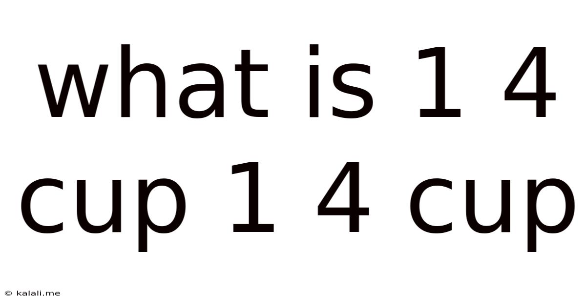 What Is 1 4 Cup 1 4 Cup