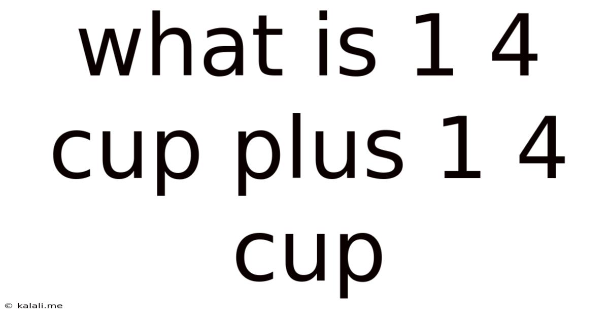 What Is 1 4 Cup Plus 1 4 Cup