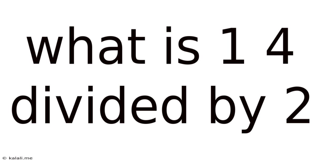 What Is 1 4 Divided By 2
