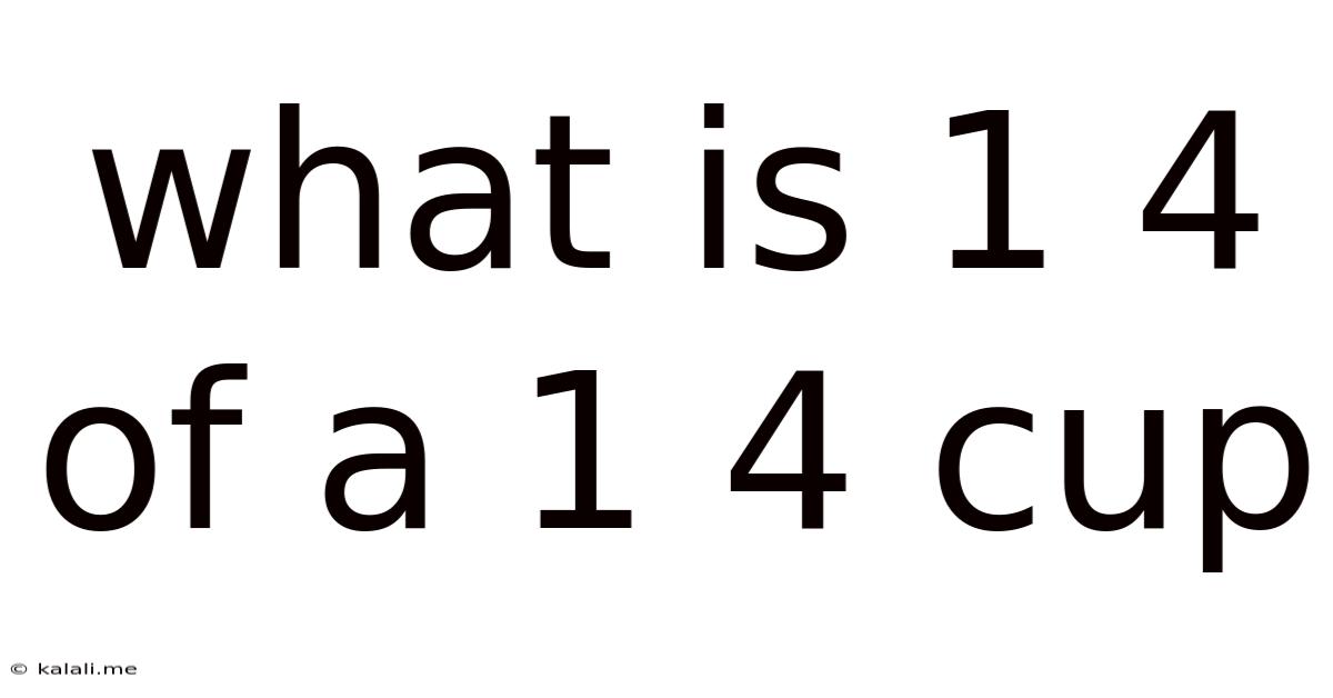 What Is 1 4 Of A 1 4 Cup