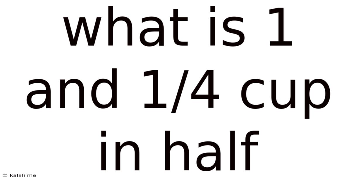 What Is 1 And 1/4 Cup In Half