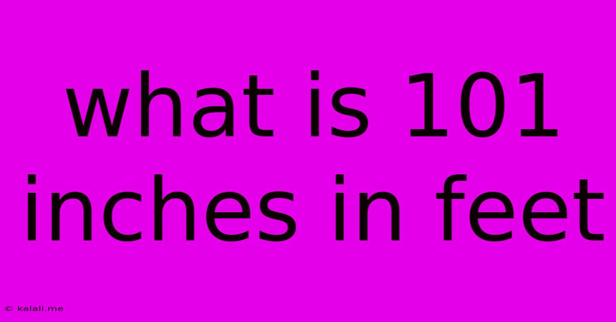 What Is 101 Inches In Feet