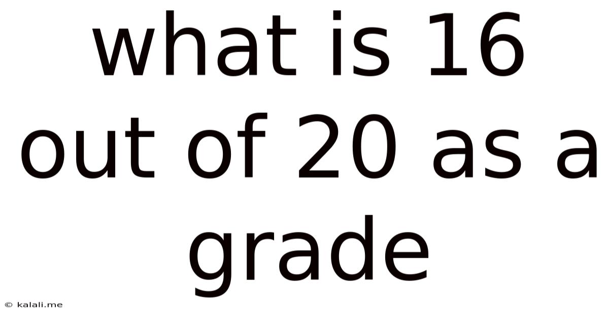 What Is 16 Out Of 20 As A Grade