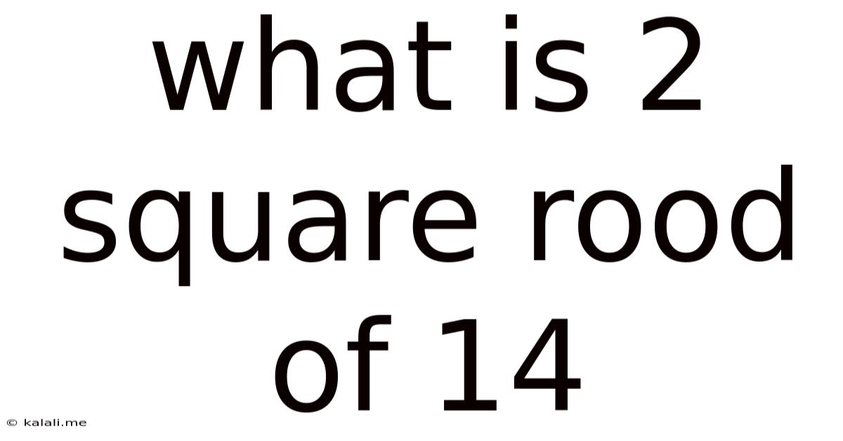 What Is 2 Square Rood Of 14