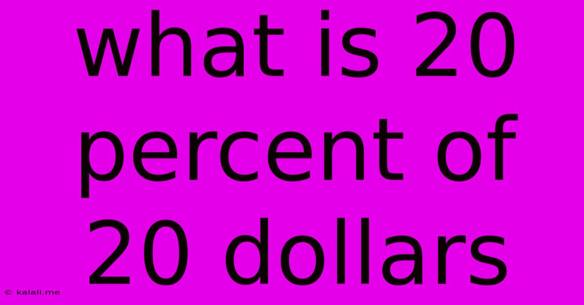 What Is 20 Percent Of 20 Dollars